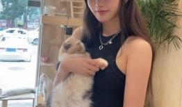 今日吃瓜51cg热门大瓜娜娜,今日吃瓜51cg热门大瓜，揭秘娱乐圈风云变幻