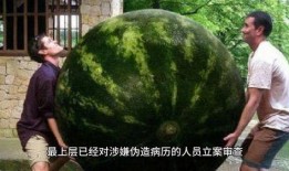 网络大瓜,揭秘娱乐圈幕后真相，带你走进明星隐私世界